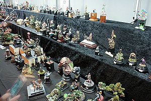 IMG_2212.JPG