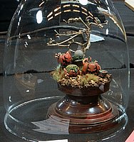 jIMG_1751.JPG