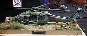 pIMG_1733.JPG