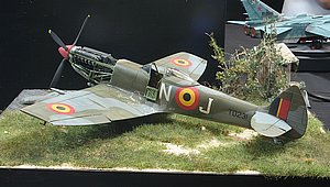 pIMG_1737.JPG