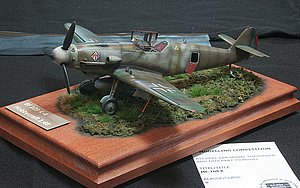 pIMG_1743.JPG