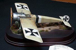 IMG_8292.JPG