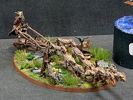 IMG_8334.JPG