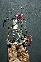 IMG_8364.JPG
