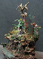 IMG_8367.JPG