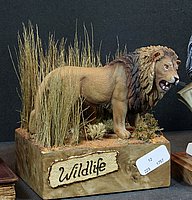 IMG_8754.JPG