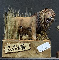 IMG_8770.JPG