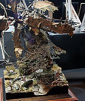 oIMG_7773b.JPG