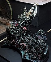oIMG_8070v.JPG