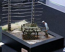 IMG_1550.JPG