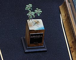 IMG_1624.JPG