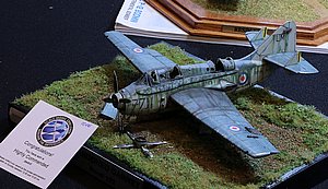 IMG_1937.JPG