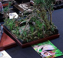 IMG_2050.JPG