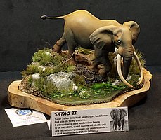IMG_2173.JPG