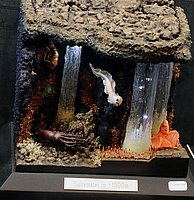 IMG_2417.JPG