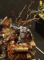 IMG_2447.JPG