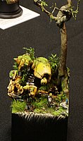 IMG_2582.JPG