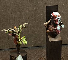 IMG_2676.JPG