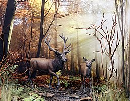 c_MG_4079 (169).JPG