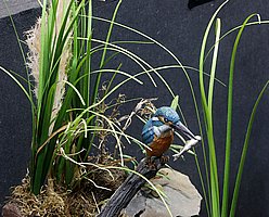 c_MG_4079 (172).JPG