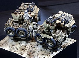 d_MG_3001.JPG