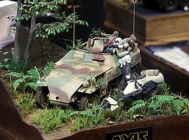 d_MG_3006.JPG