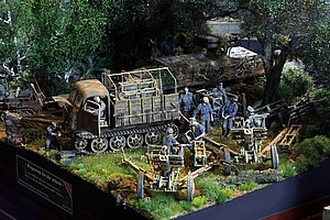 d_MG_3276 (146).JPG