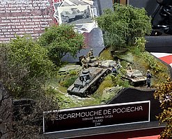 d_MG_3276 (161).JPG