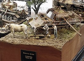 d_MG_3276 (18).JPG