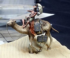 d_MG_3276 (232).JPG