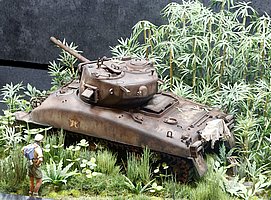 d_MG_3276 (3).JPG