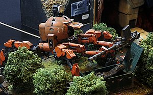 g_MG_4341 (14).JPG