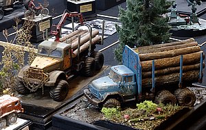 g_MG_4341 (21).JPG