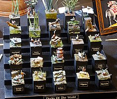 g_MG_4341 (4).JPG
