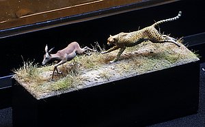 g_MG_4341 (46).JPG