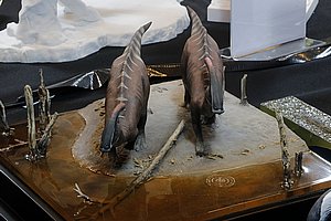 g_MG_4341 (48).JPG