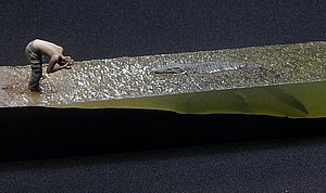 g_MG_4341 (50).JPG