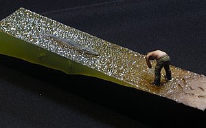 g_MG_4341 (51).JPG