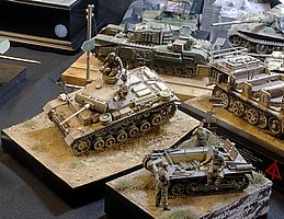 i_MG_3560 (152).JPG