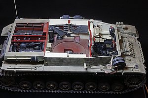 i_MG_3560 (32).JPG