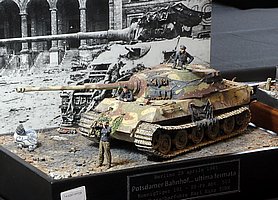 i_MG_3560 (91).JPG