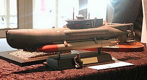 DSCN6795.JPG