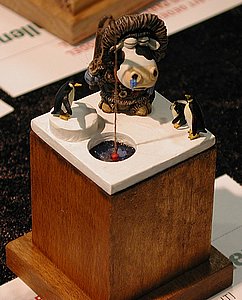 fDSCN6458.JPG