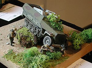 tDSCN6842.JPG