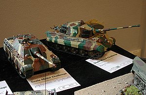 tDSCN6843.JPG