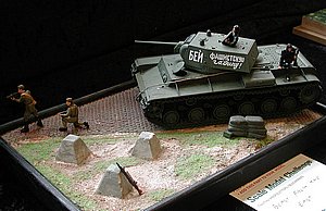 tDSCN6851.JPG