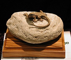 vDSCN6502.JPG