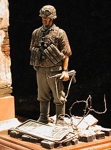 vDSCN6503.JPG