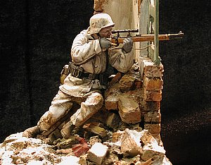 vDSCN6504.JPG