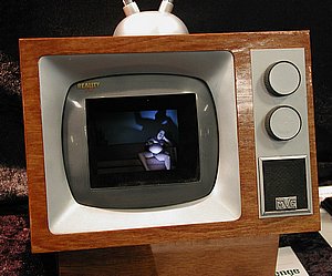 vDSCN6528.JPG
